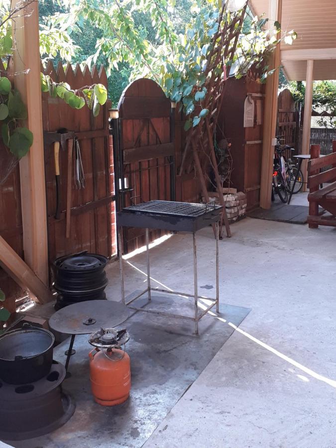 Casa Denisa Vidraru Transfgarasan Capatineni-Ungureni Exterior foto