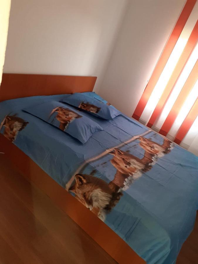 Casa Denisa Vidraru Transfgarasan Capatineni-Ungureni Exterior foto
