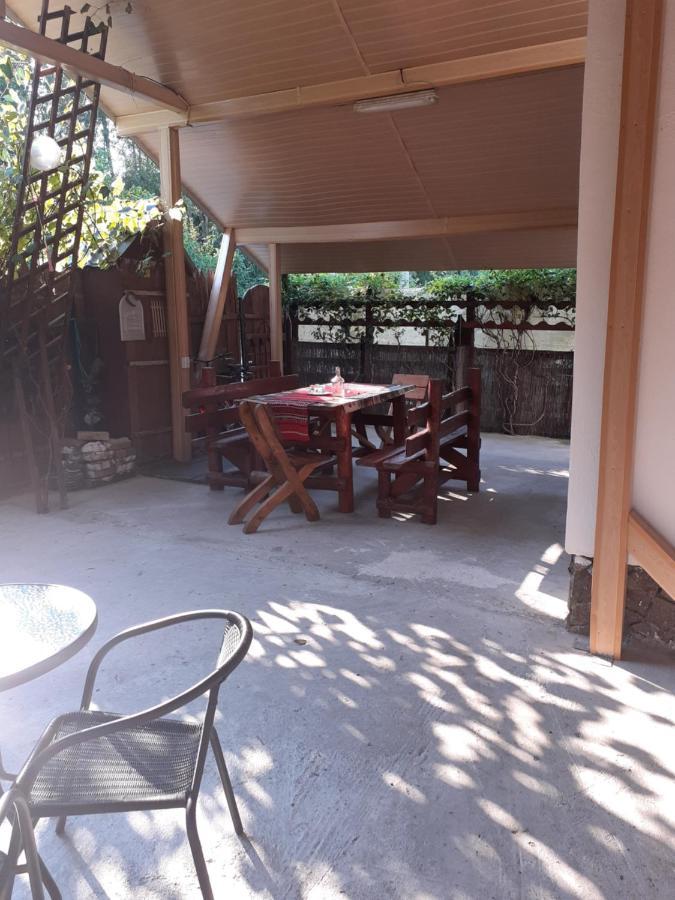 Casa Denisa Vidraru Transfgarasan Capatineni-Ungureni Exterior foto