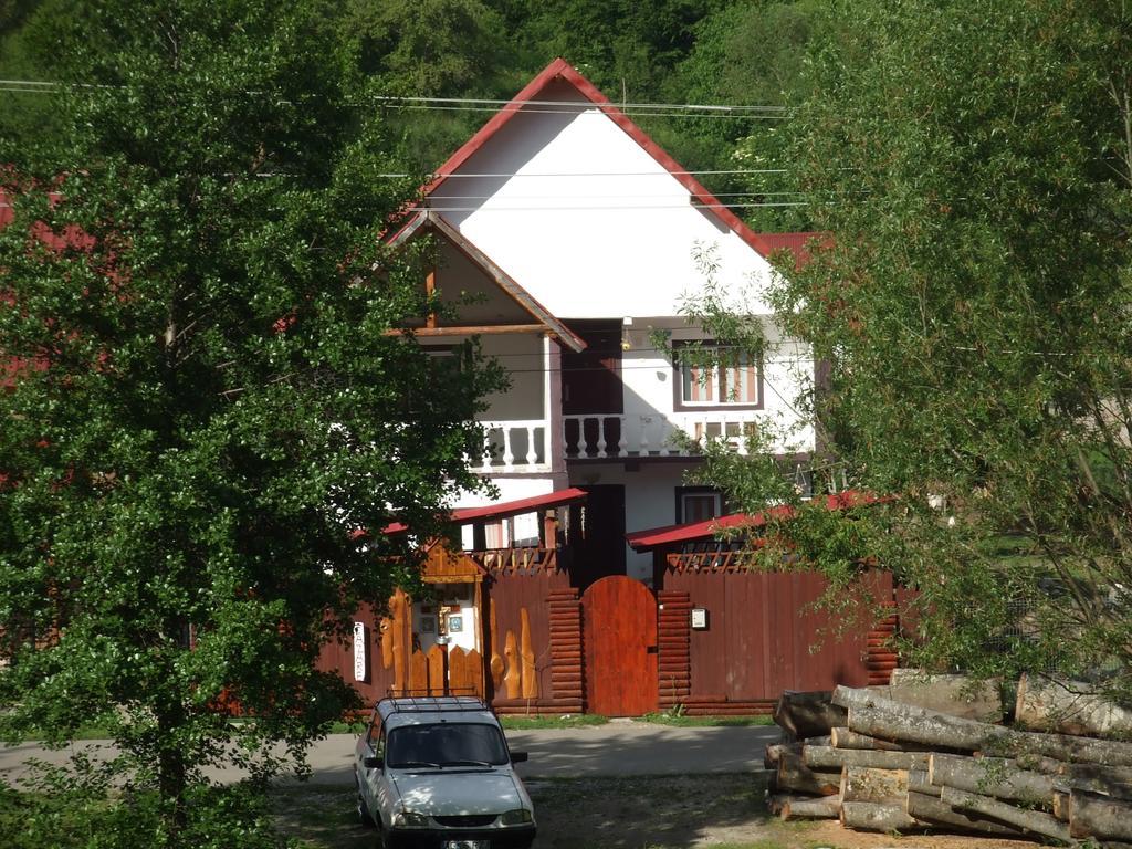 Casa Denisa Vidraru Transfgarasan Capatineni-Ungureni Exterior foto